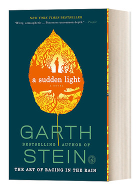 穿过森林的男孩 英文原版小说 A Sudden Light 加思·斯坦 英文版 进口英语原版书籍