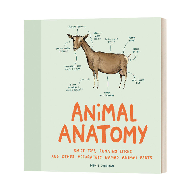 动物解剖学 英文原版 Animal Anatomy 动物趣味图解 英文版 进口英语原版书籍
