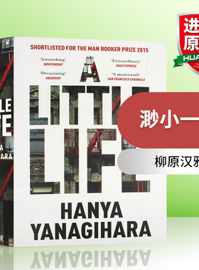 A Little Life 渺小一生 英版 小生活 英文原版小说 Hanya Yanagihara 柳原汉雅 英文版 进口原版英语书籍