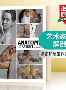 华研原版 艺术家的解剖 英文原版 Anatomy for Artists 进口艺术 英文版 进口英语书籍