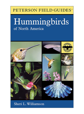 英文原版 A Peterson Field Guide to Hummingbirds of North America 皮特森图鉴之北美蜂鸟 英文版 进口英语原版书籍