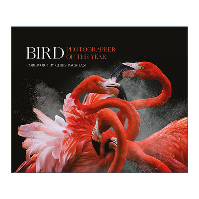 英文原版 Bird Photographer of the Year: Collection 3 世界鸟类摄影比赛 精装野生鸟类图册 英文版 进口英语原版书籍
