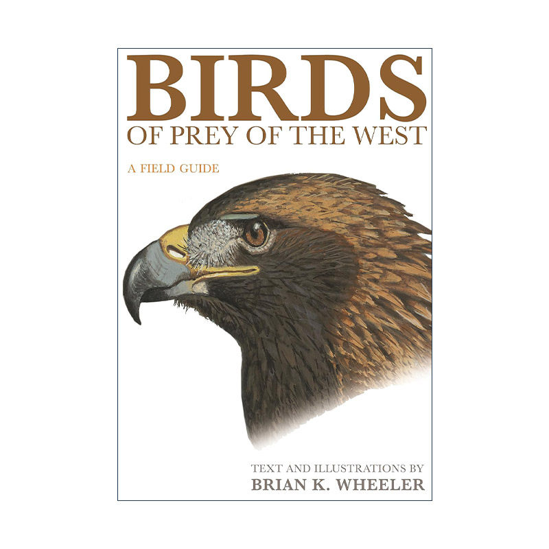 英文原版 Birds of Prey of the West 西方猛禽 观鸟指南 Brian K. Wheeler英文版 进口英语原版书籍