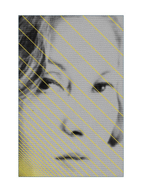 英文原版 Too Much of Life 太多的生活 Crônicas全集 散文集 星辰时刻作者 巴西女作家克拉丽丝 李斯佩克朵 进口英语原版书籍