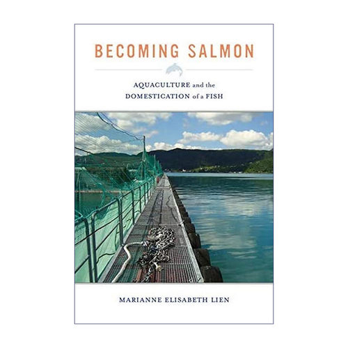 成为三文鱼  英文原版 Becoming Salmon 水产养殖与鱼的驯化 Marianne Elisabeth Lien 英文版 进口英语原版书籍
