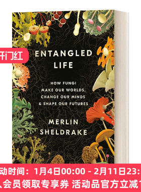 英文原版 Entangled Life 纠缠的生命 真菌如何创造我们的世界 精装 英文版 进口英语原版书籍
