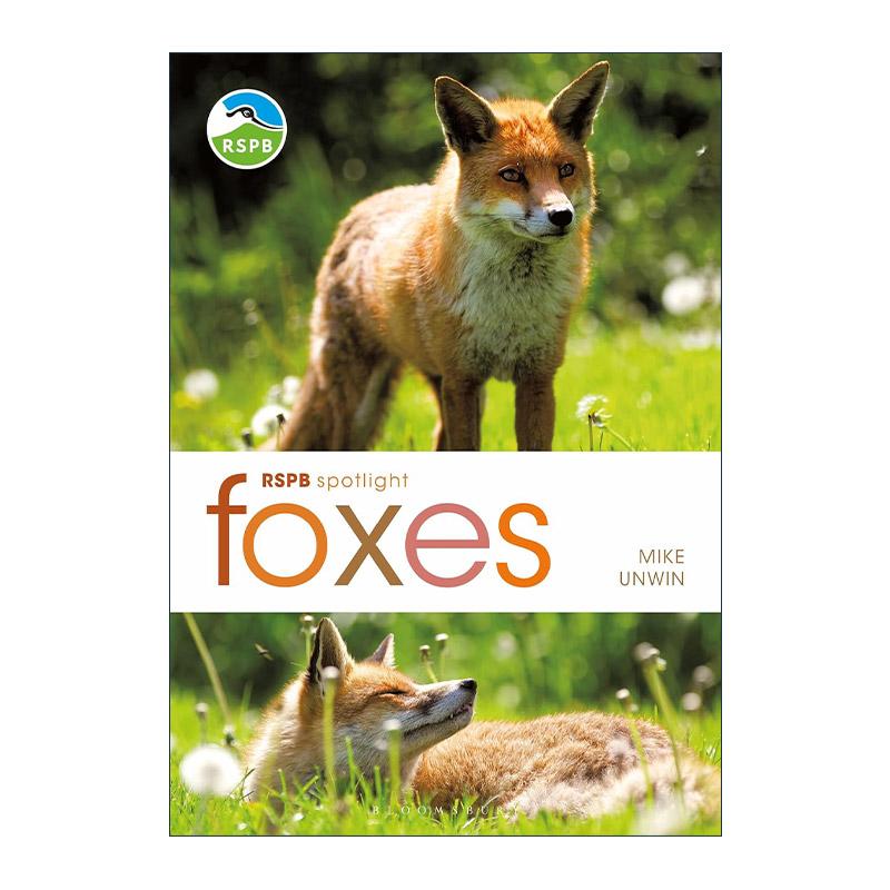 英文原版 RSPB Spotlight Foxes 狐狸之书 英国皇家鸟类保护协会聚焦系列 英文版 进口英语原版书籍
