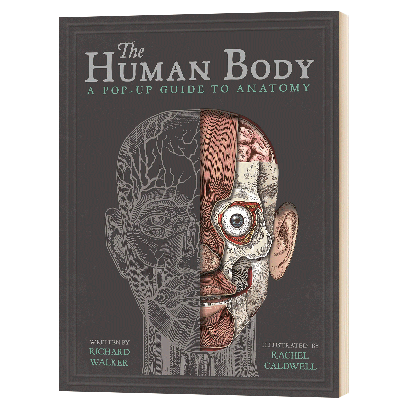 身体构造立体书 英文原版 The Human Body 英文版儿童身体健康教育科普 立体书翻翻书绘本 进口原版英语书籍