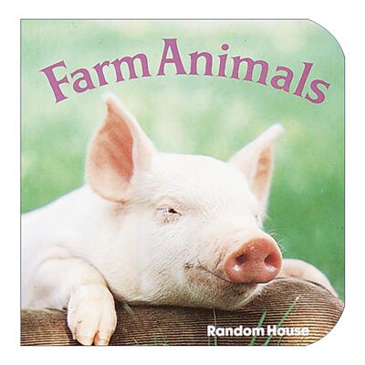 英文原版 Farm Animals 农场动物 幼儿儿童启蒙认知绘本 纸板书 自然摄影图册 Phoebe Dunn 英文版 进口英语原版书籍