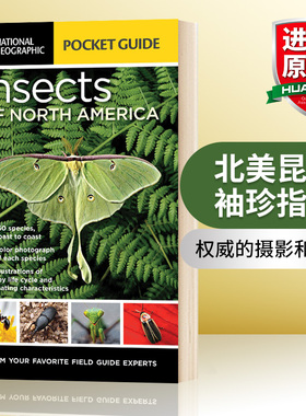 英文原版 National Geographic Pocket Guide to Insects of North America 国家地理北美昆虫袖珍指南 英文版