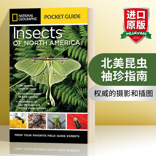 英文原版 National Geographic Pocket Guide to Insects of North America 国家地理北美昆虫袖珍指南 英文版