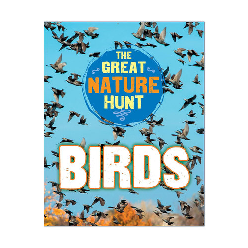 英文原版 The Great Nature Hunt Birds 鸟类 儿童自然科普百科 自然猎奇系列 英文版 进口英语原版书籍