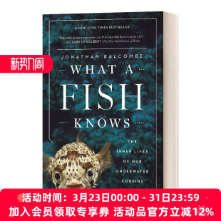 Fish Knows 鱼知道什么 英文原版 进口英语原版 英文版 书籍 What