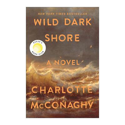 英文原版 Wild Dark Shore 荒野暗岸 精装 英文版 进口英语原版书籍