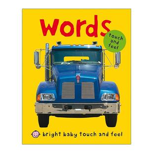 词汇 Bright Feel 英文原版 聪明宝宝触摸书 进口英语原版 Touch 英文版 Baby 书籍 纸板书 Words