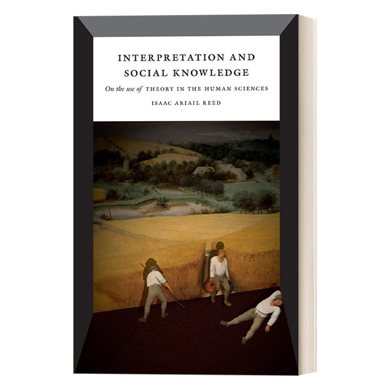 英文原版 Interpretation and Social Knowledge 阐释与社会知识 人文科学中的理论运用 社会学 英文版 进口英语原版书籍