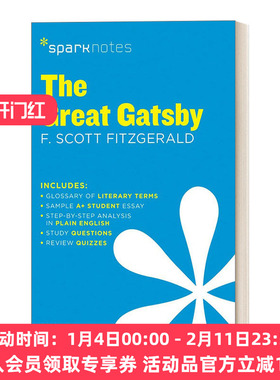 英文原版 Great Gatsby 伟大的盖茨比 SparkNotes Literature Guide文学导读系列 英文版 进口英语原版书籍