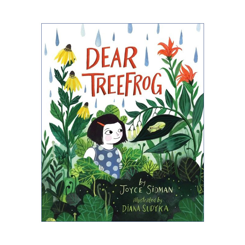 亲爱的树蛙  英文原版 Dear Treefrog Diana Sudyka插画 精装绘本 英文版 进口英语原版书籍