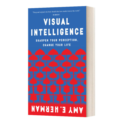 英文原版 Visual Intelligence 洞察 精确观察和有效沟通的艺术 英文版 进口英语原版书籍
