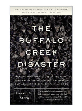 英文原版 The Buffalo Creek Disaster 正义永不决堤 水牛湾惨案 Gerald M. Stern 英文版 进口英语原版书籍