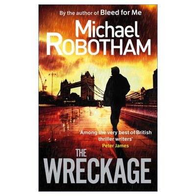 残骸  英文原版小说 The Wreckage 迈克尔·罗伯森 Joe O'Loughlin 奥洛克林医生系列5 英文版 进口英语原版书籍