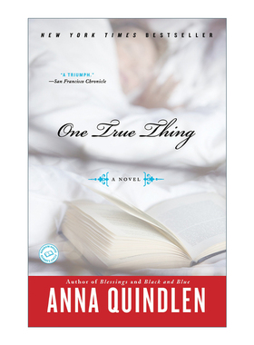 英文原版 One True Thing 亲情无价 爱在别离时 女性小说 Anna Quindlen 英文版 进口英语原版书籍