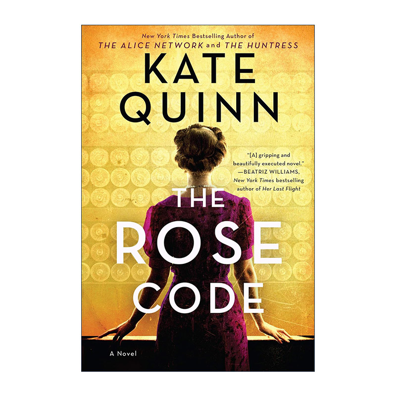 英文原版 The Russian Avant-Garde and Radical Modernism 俄罗斯先锋派和激进现代主义 入门读本 文学艺术 美学 Dennis G. Ioffe