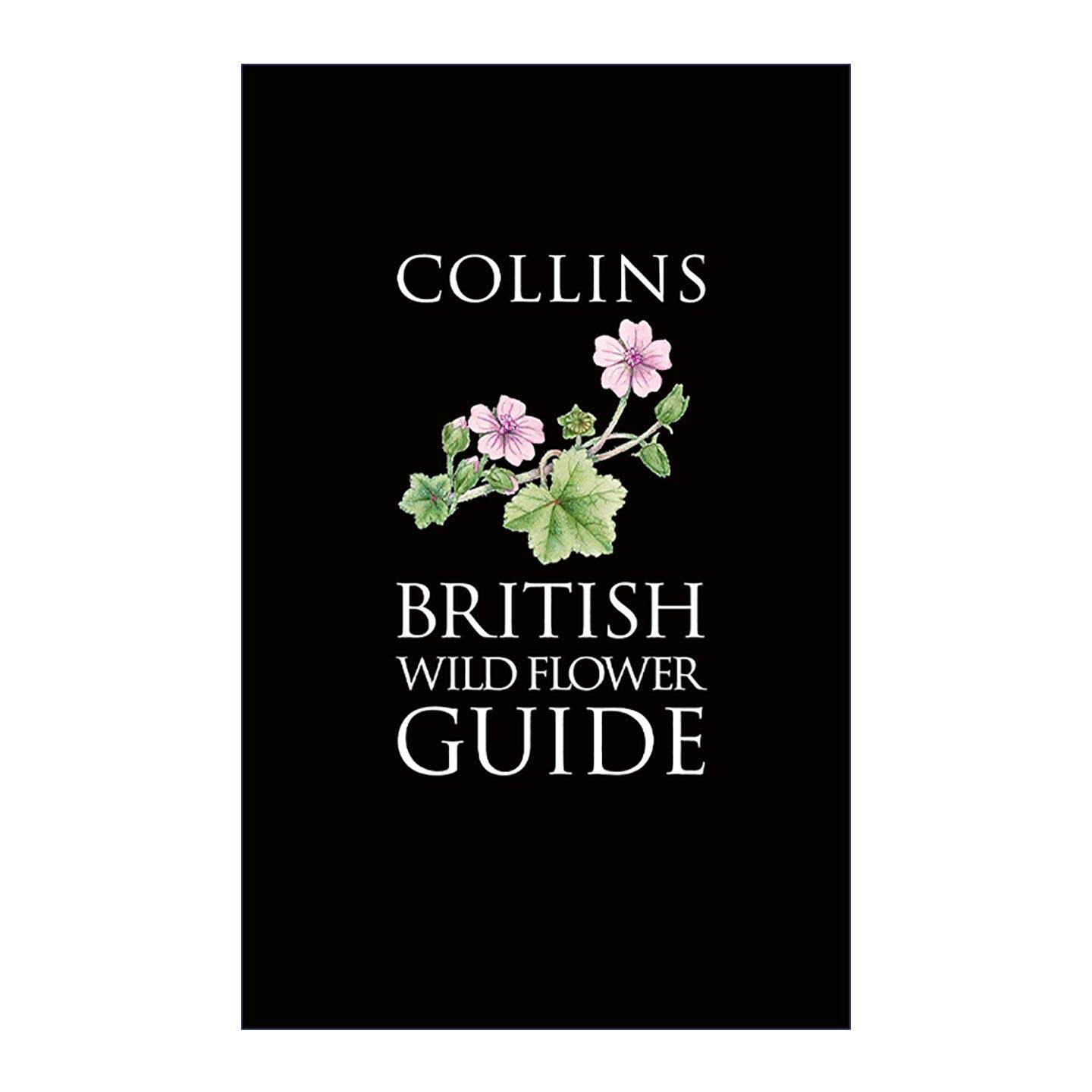 英文原版 Collins British Wild Flower Guide 柯林斯英国野外花卉图鉴 彩色插图 英文版 进口英语原版书籍