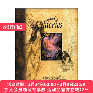 英文原版 Good Faeries Bad Faeries 好仙女坏仙女 精灵魔法世界 精装 英文版 进口英语原版书籍