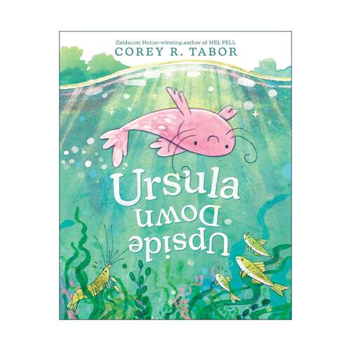 英文原版 Ursula Upside Down 快乐的鲶鱼 精装图画书 英文版 进口英语原版书籍