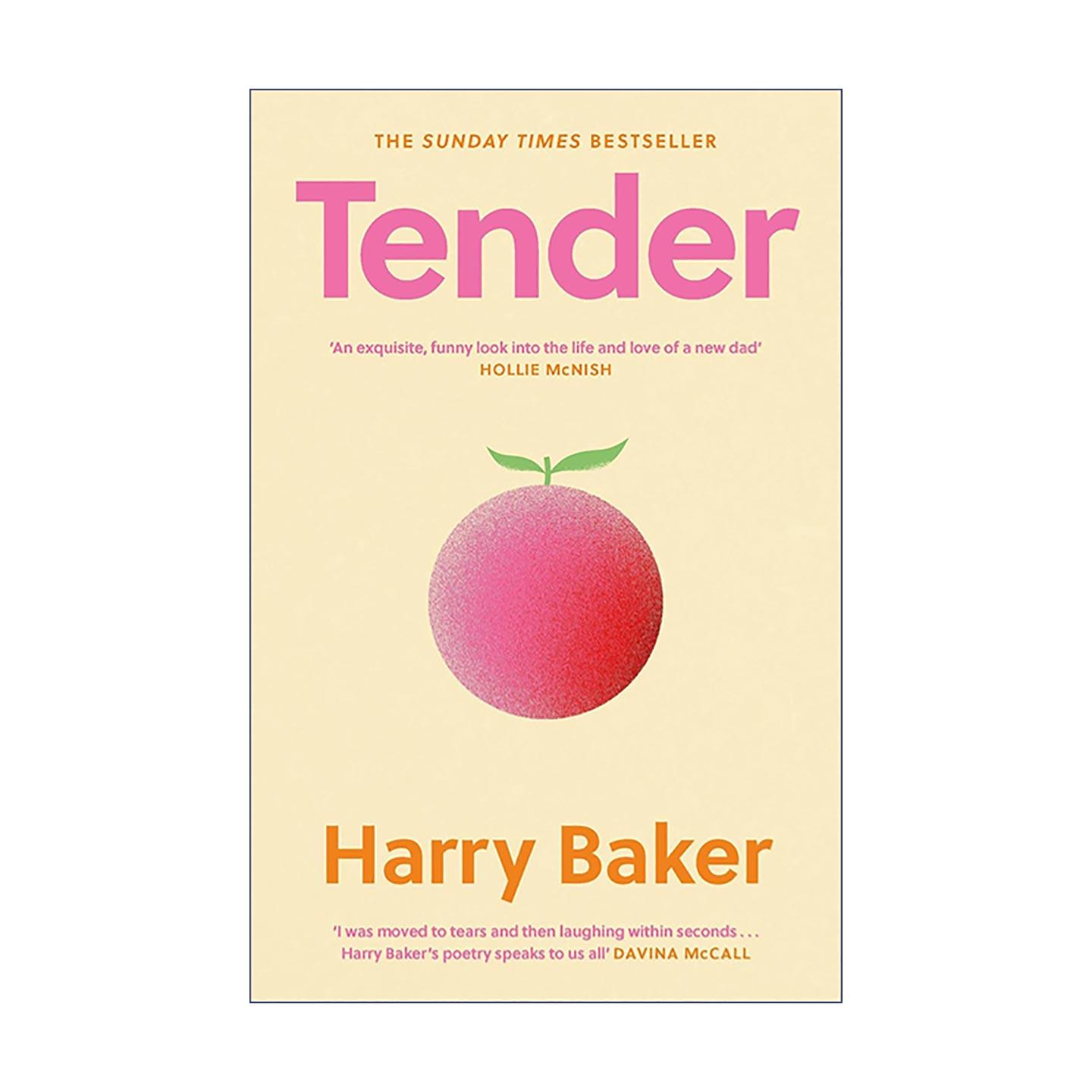 英文原版 Tender 温柔 生命*初100天的100首诗 精装亲子诗集 Harry Baker 新生儿与新手父母的温柔瞬间 英文版 进口英语原版书籍