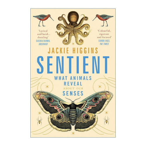 英文原版 Sentient 感官奇迹 跨越物种的人类感知冒险之旅 英文版 进口英语原版书籍