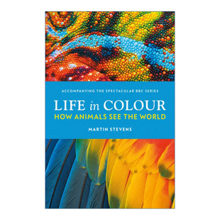 生命之色  英文原版 Life in Colour BBC生命之色 动物眼中的世界 马丁·史蒂文斯 精装 英文版 进口英语原版书籍