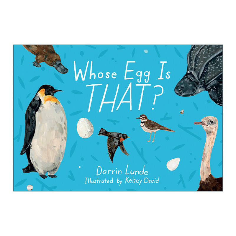 那是谁的蛋 英文原版 Whose Egg Is That 儿童精装科普百科绘本 当我们看星星时 我们看见了什么 作者Kelsey Oseid 英文版 进口书