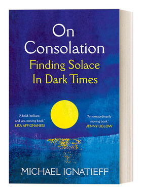 安慰论 英文原版 On Consolation 如何在困境中获得安慰 迈克尔?伊格纳蒂耶夫 英文版 进口英语原版书籍
