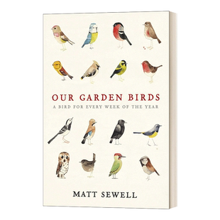 华研原版 英文原版 Our Garden Birds 我们花园里的鸟 鸟类科普绘本 马特·休厄尔 精装 英文版 进口英语原版书籍