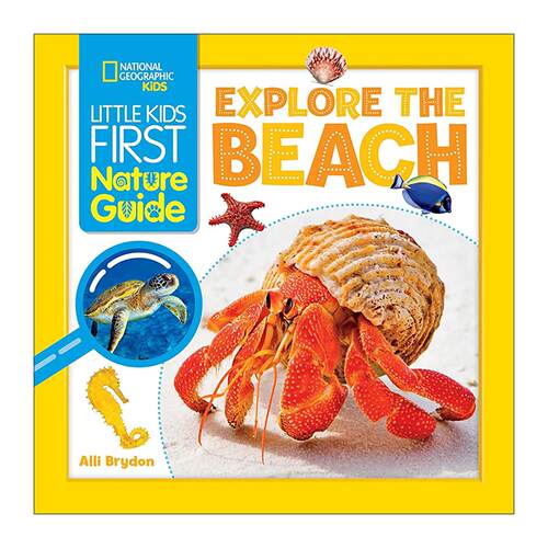 英文原版 Little Kids First Nature Guide Explore the Beach 国家地理自然指南 探索海滩 儿童科普百科 英文版 进口英语原版书籍