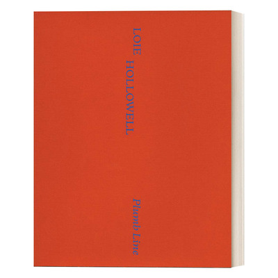美国女艺术家洛伊·霍洛韦尔作品集  英文原版 Loie Hollowell 铅垂线系列 精装抽象绘画艺术画册 二次孕期观察记录 英文版 进口书