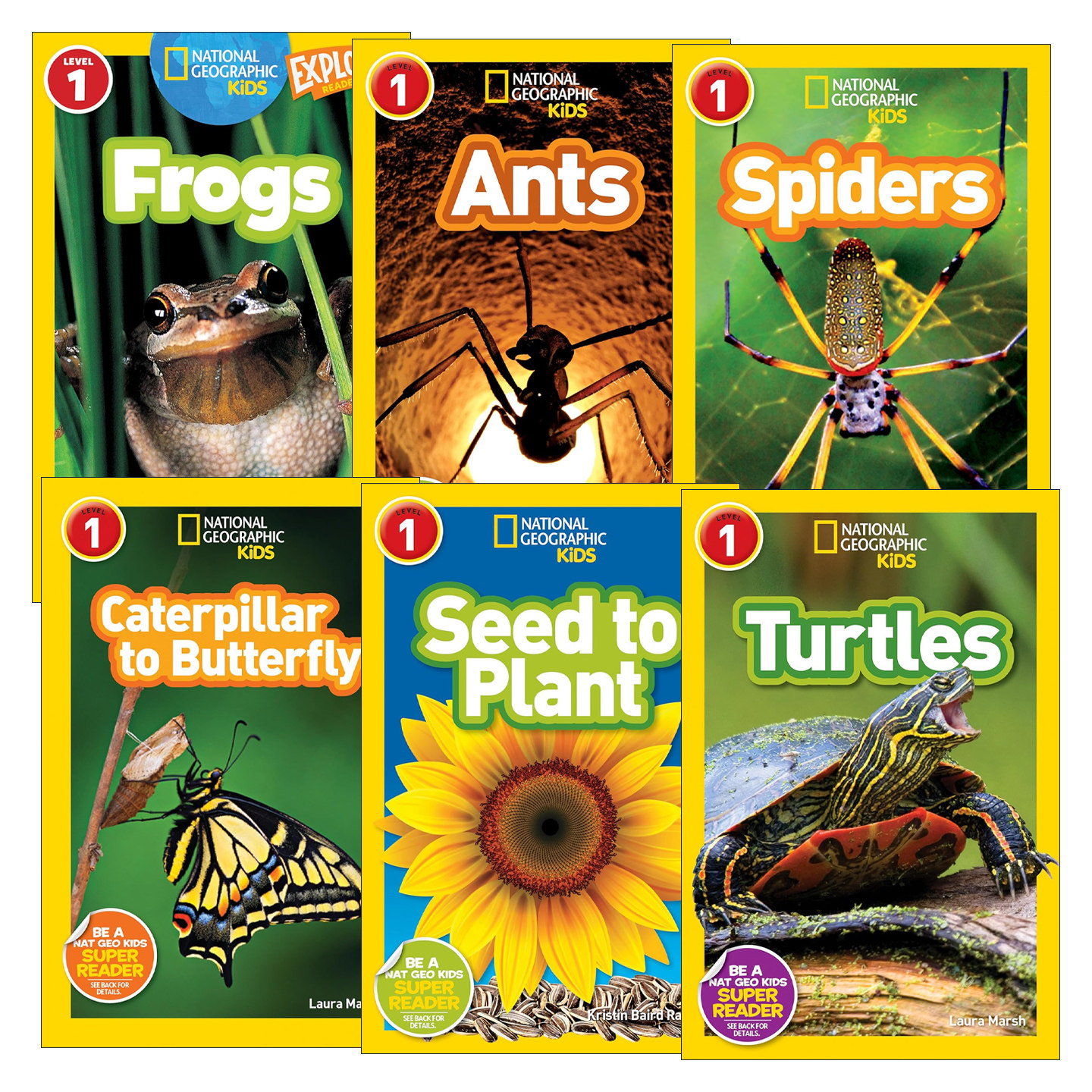 英文原版 National Geographic Kids Readers L1 国家地理第1级 6册 分级读物 儿童科普 英文版 进口英语原版书籍