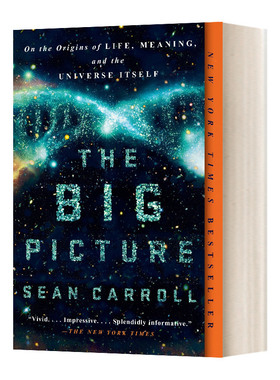 英文原版 The Big Picture 大图景 论生命的起源、意义和宇宙本身 物理 Sean Carroll 英文版 进口英语原版书籍