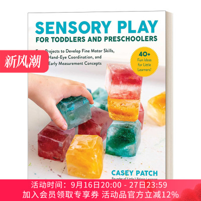 英文原版 Sensory Play for Toddlers and Preschoolers 儿童的感官游戏 英文版 进口英语原版书籍