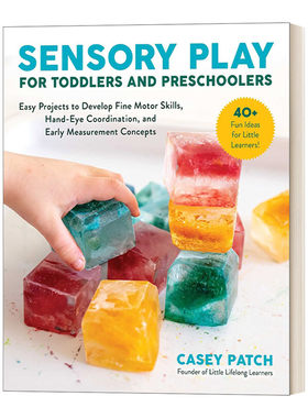英文原版 Sensory Play for Toddlers and Preschoolers 儿童的感官游戏 英文版 进口英语原版书籍