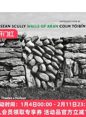 英文原版 Sean Scully Walls of Aran 肖恩·斯库利摄影集 阿兰城墙 精装 英文版 进口英语原版书籍