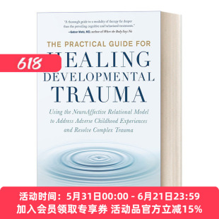 治疗发育性创伤的实用指南 英文原版 The Practical Guide for Healing Developmental Trauma 心理治疗 英文版 进口英语原版书籍