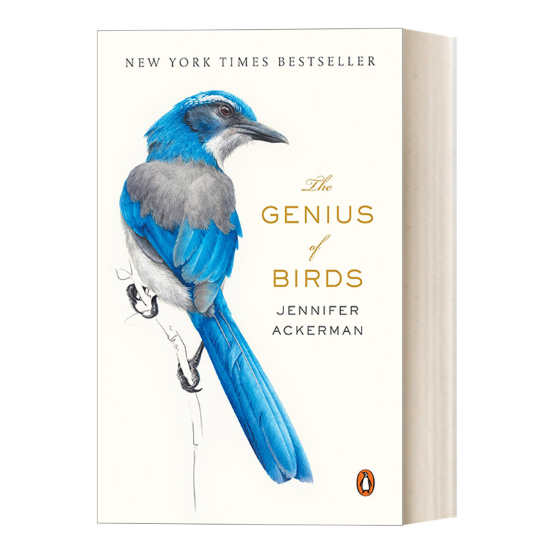 英文原版 The Genius of Birds 鸟类的天赋 自然科普 豆瓣高分推荐 Jennifer Ackerman 英文版 进口英语原版书籍