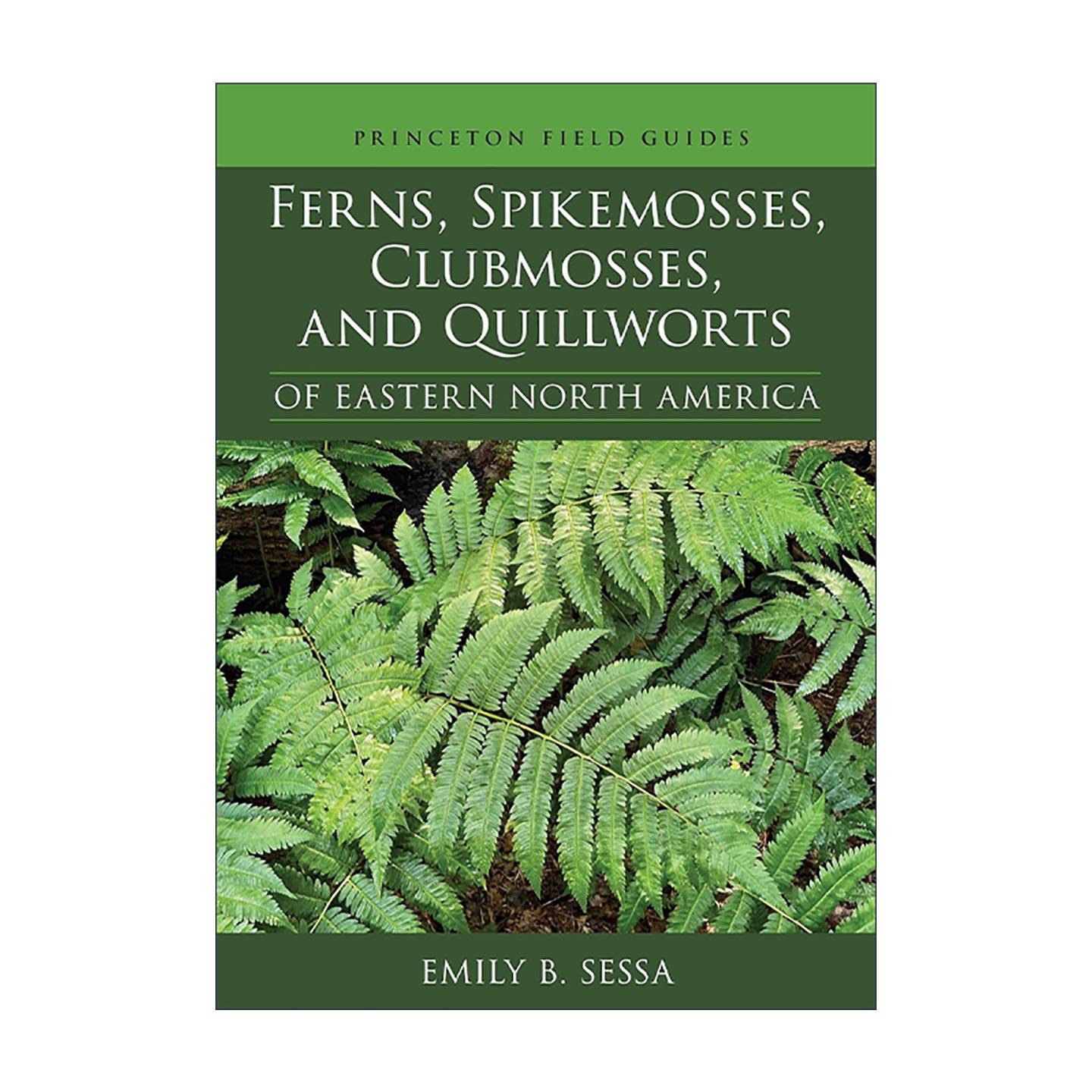 英文原版 Ferns Spikemosses Clubmosses and Quillworts of Eastern North America 东北美洲的蕨类植物 卷柏目 石松目和水韭目