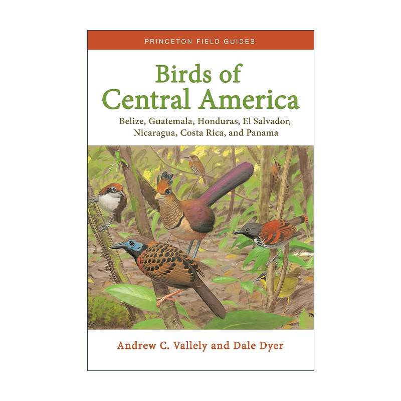 英文原版 Birds of Central America 中美洲鸟类大全 观鸟指南 Andrew C. Vallely英文版 进口英语原版书籍