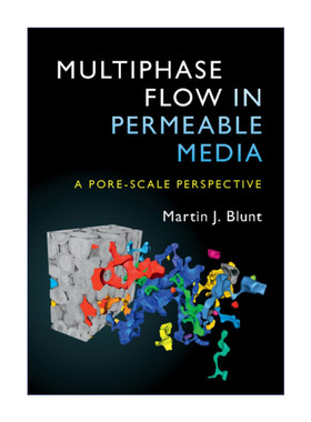 可渗透介质中的多相流动  英文原版 Multiphase Flow in Permeable Media Martin J. Blunt 精装 英文版 进口英语原版书籍