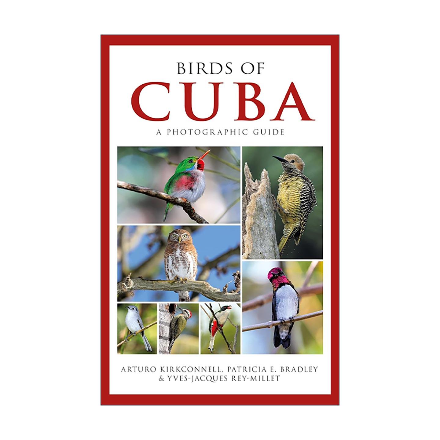 英文原版 Photographic Guide to the Birds of Cuba 古巴鸟类品种习性图鉴指南 英文版 进口英语原版书籍