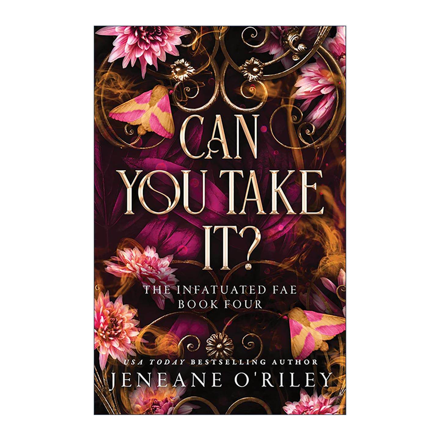 英文原版 Can You Take It 你能带上它吗 迷恋精灵系列4 奇幻小说 Booktok热门推荐 豪华版 英文版 进口英语原版书籍